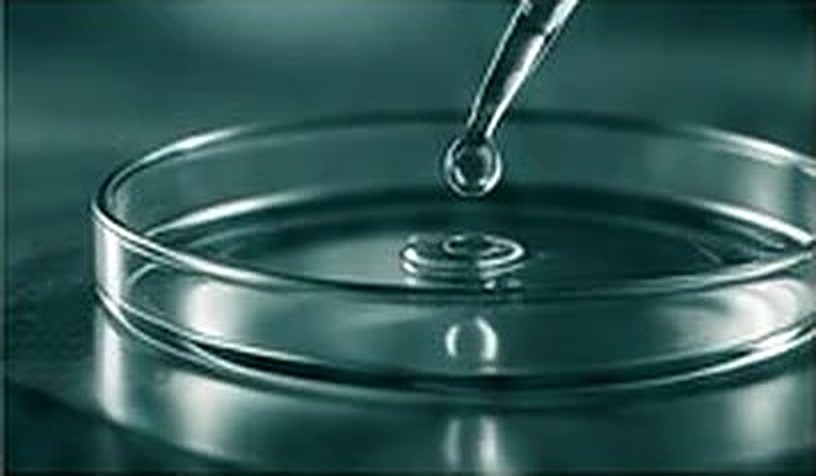 Petri dish with a pipette
