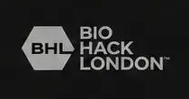 Close-up of the grey BHL logo on the back of the black vest